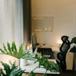 Tips for Creating a Productive Home Office Environment